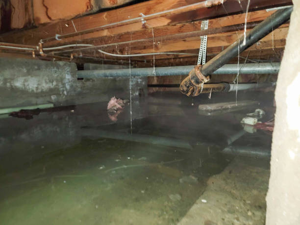 Best Water damage cleanup near me  in Enoch, UT