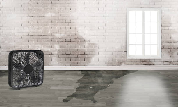 Best Fire Damage Restoration  in Enoch, UT