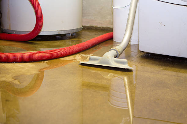 Best Water damage restoration process  in Enoch, UT