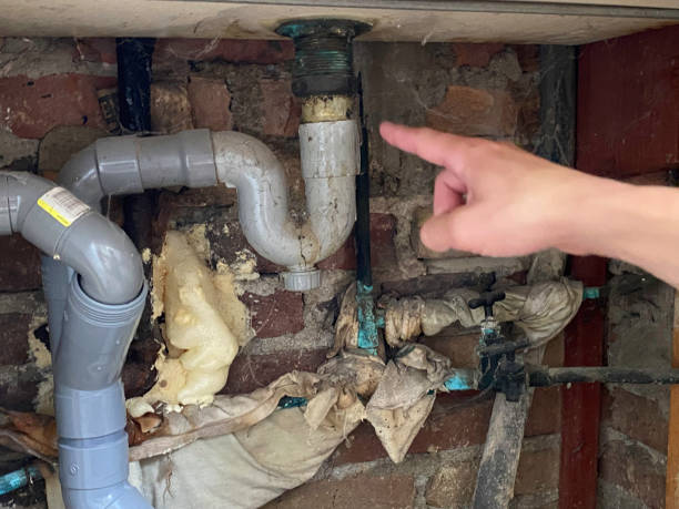 Best Flood damage cleanup  in Enoch, UT