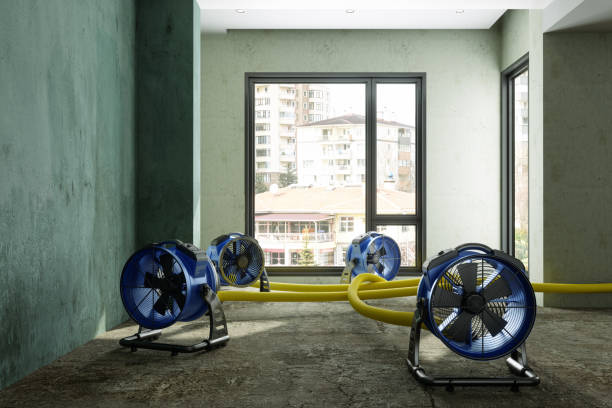 Best Water damage repair service  in Enoch, UT