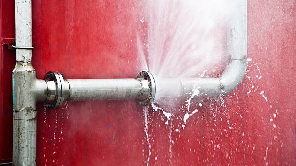 Best Mold removal after water damage  in Enoch, UT